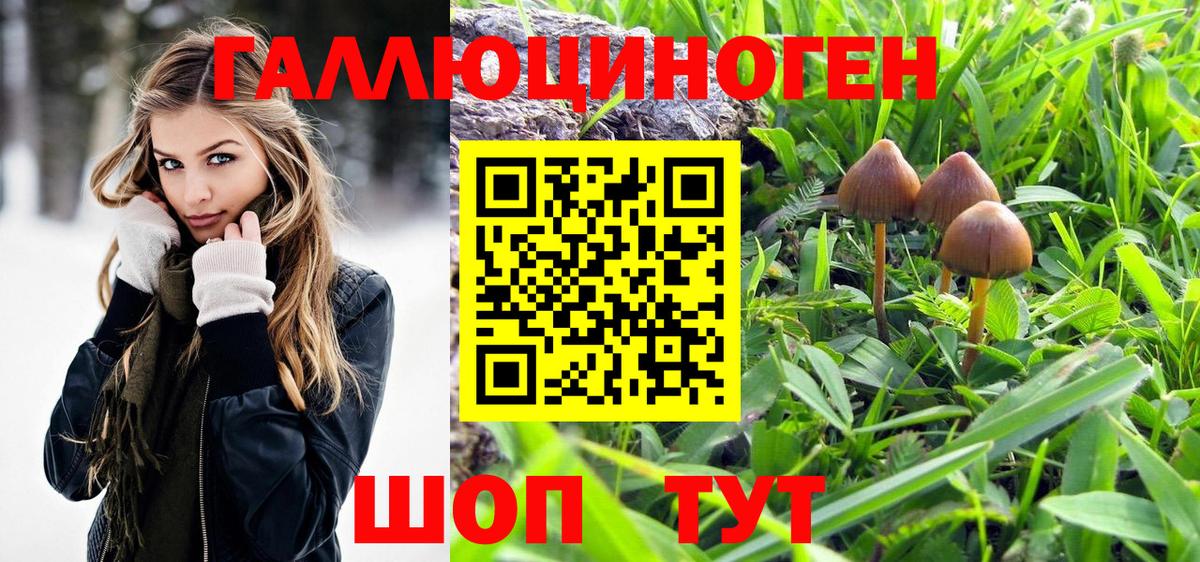 Галлюциногенные грибы прущие грибы Выкса